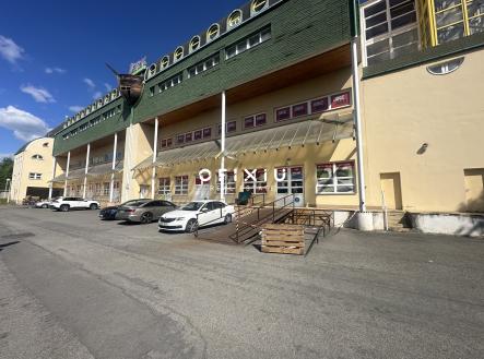 Pronájem obchodní prostor, 1 000 m²