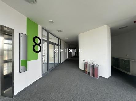 Pronájem - kanceláře, 239 m²