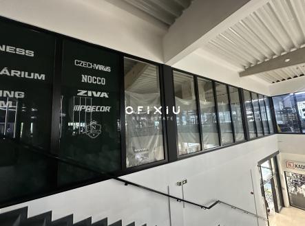 Pronájem obchodní prostor, 589 m²