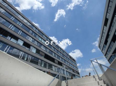 Pronájem - kanceláře, 300 m²