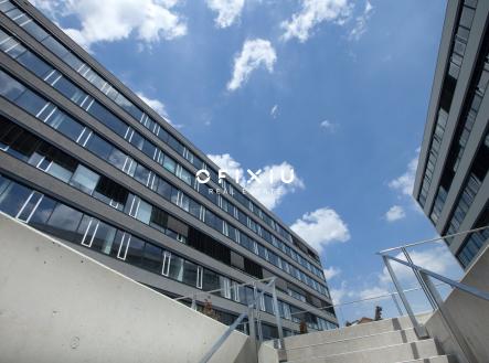 Pronájem kanceláře, 300 m²