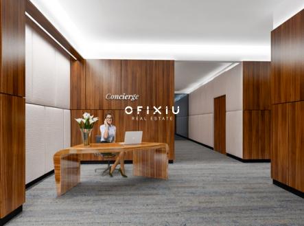 Pronájem kanceláře, 300 m²