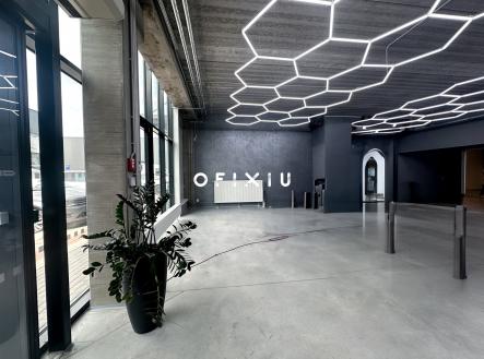 Pronájem - obchodní prostor, 496 m²