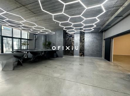 Pronájem - obchodní prostor, 496 m²