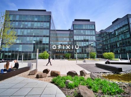 Pronájem kanceláře, 550 m²