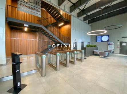 Pronájem kanceláře, 300 m²