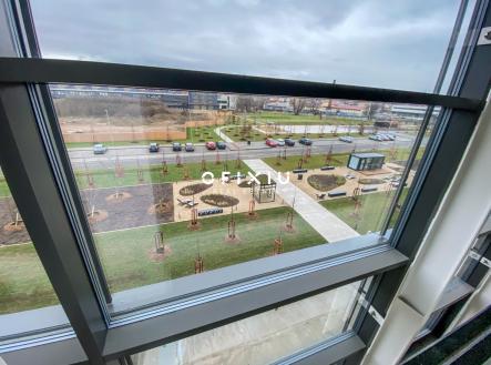 Pronájem kanceláře, 500 m²