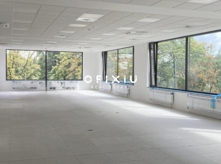 Pronájem kanceláře, 613 m²