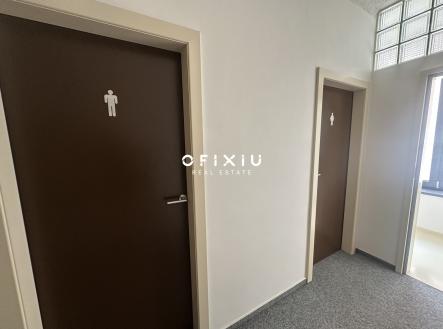 Pronájem kanceláře, 30 m²