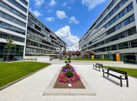 Pronájem kanceláře, 284 m²