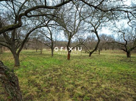 Prodej pozemku pro bydlení, 2 388 m²