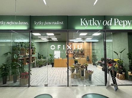 Pronájem obchodní prostor, 65 m²