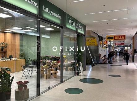 Pronájem obchodní prostor, 65 m²