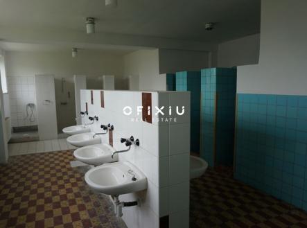 Pronájem obchodní prostor, 225 m²