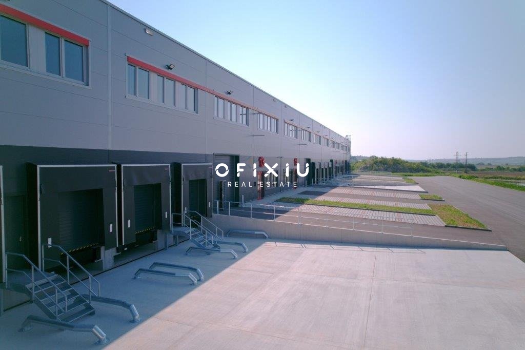 V2-0275_Mikulov_Hala_2024_00