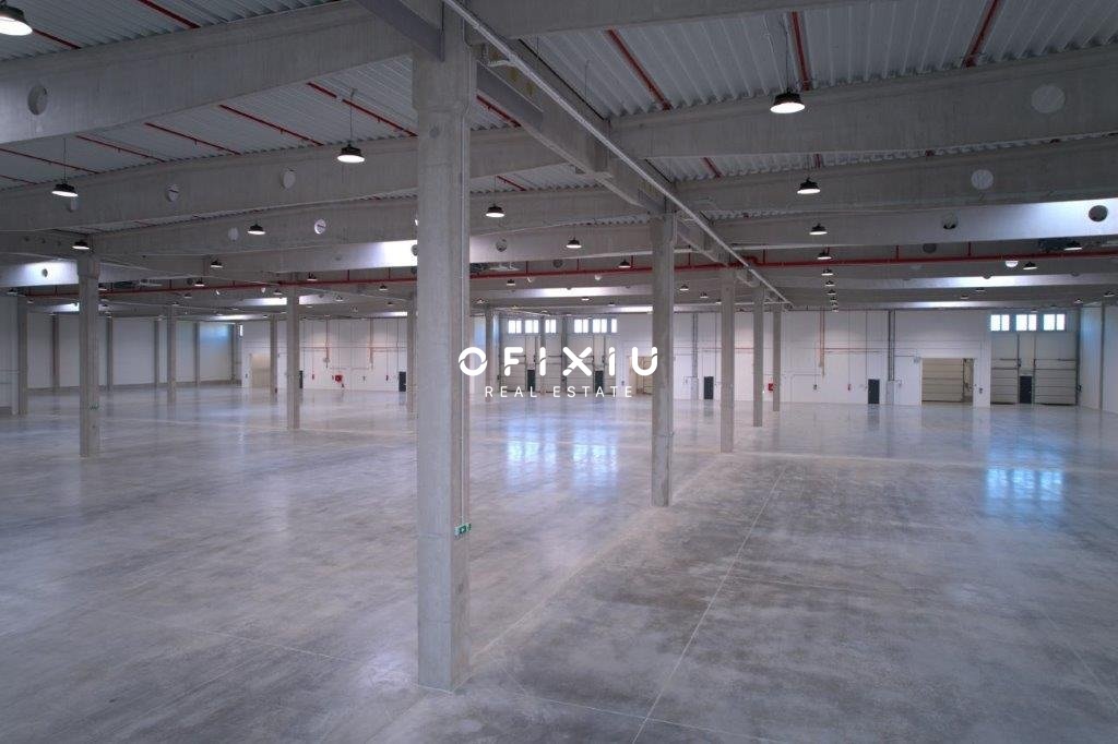 V3-0271_Mikulov_Hala_2024_00