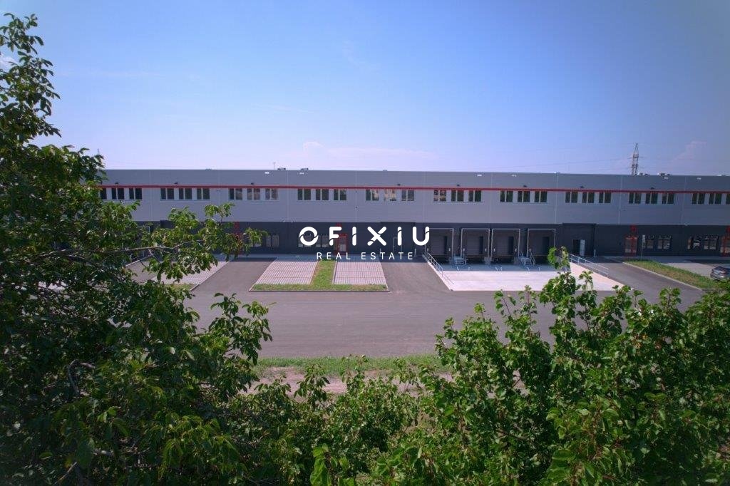 V1-0296_Mikulov_Hala_2024_00