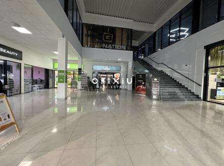 Pronájem obchodní prostor, 185 m²