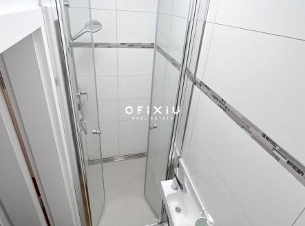 Pronájem bytu, 1+kk, 41 m²