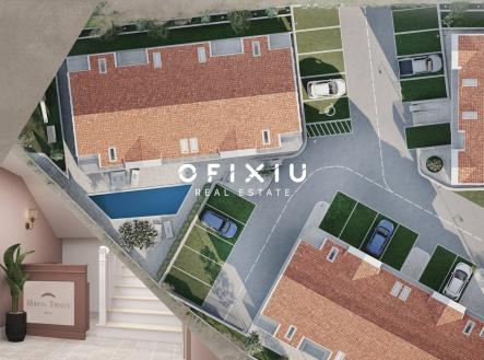 Orchid Casel de Paradise.