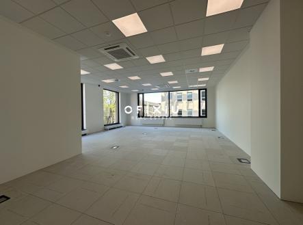 Pronájem kanceláře, 73 m²