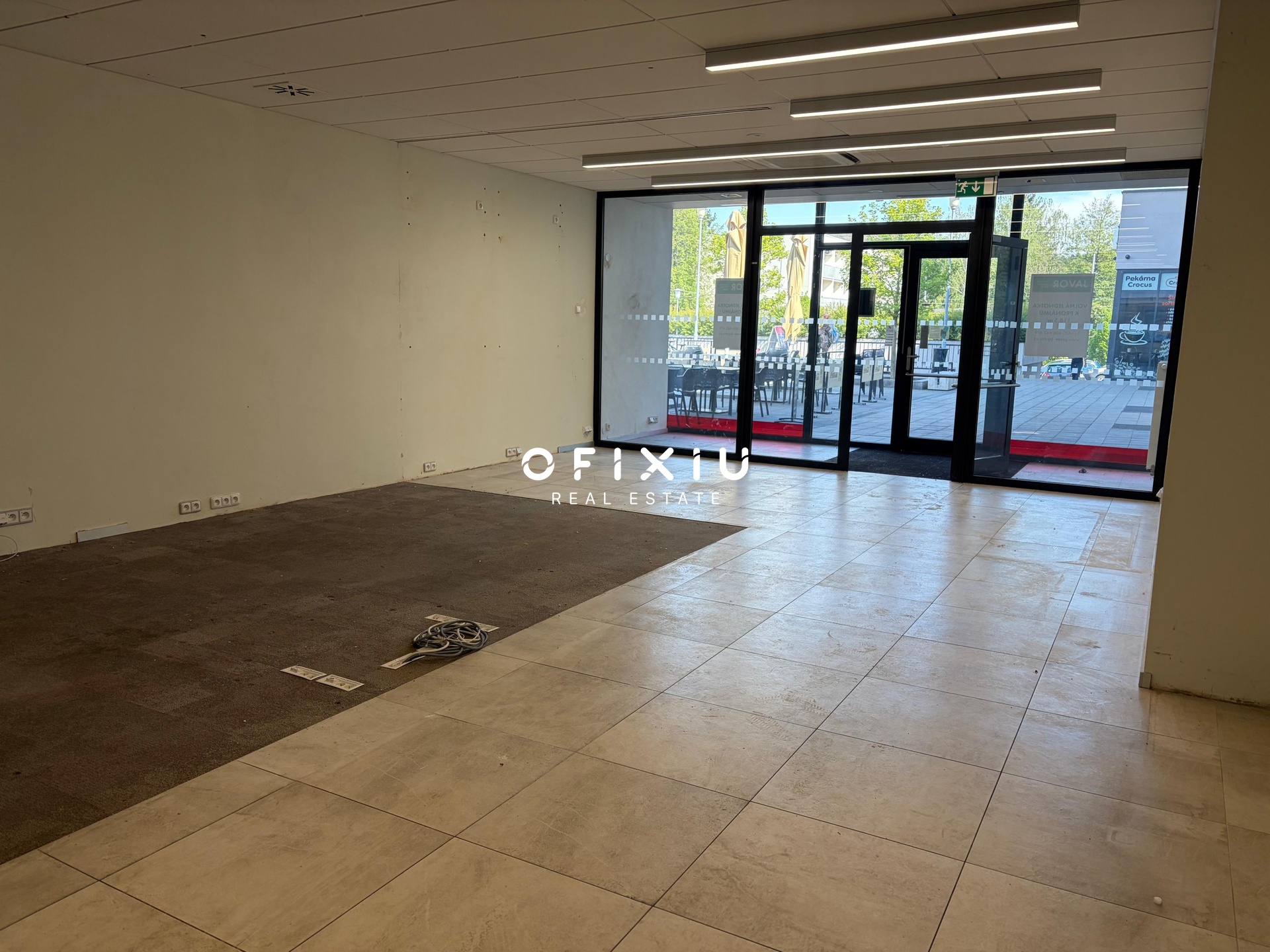 WhatsApp Image 2026-04-29 at 11.04.08 (1)