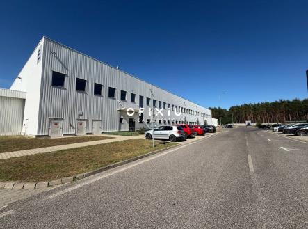 Orchid Casel de Paradise.