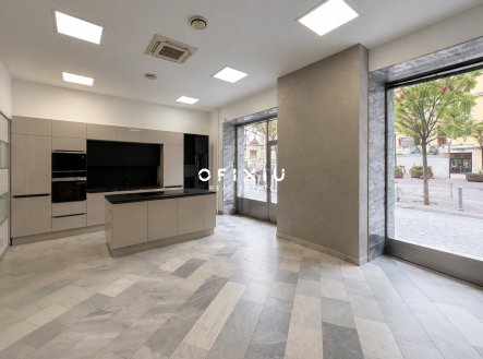 Pronájem obchodního prostoru 109 m² na ulici Dominikánské náměstí v Brně