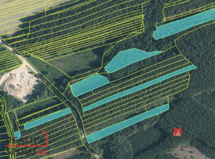 Prodej pozemku, les, 22 136 m²