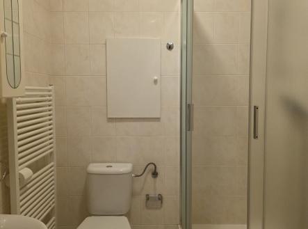 Prodej bytu, 1+kk, 35 m²