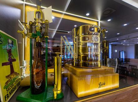 Prodej - hotel, 646 m²