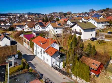 Orchid Casel de Paradise.