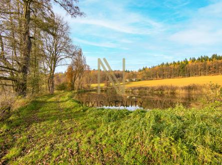 Prodej pozemku, ostatní, 2 713 m²