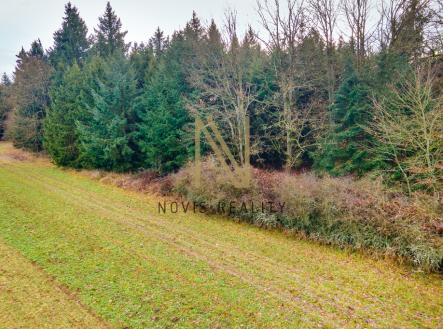Prodej pozemku, les, 7 475 m²