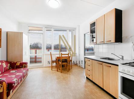 Pronájem bytu, 1+1, 36 m²