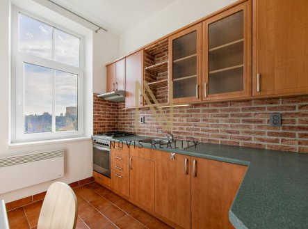 Pronájem bytu, 1+1, 45 m²