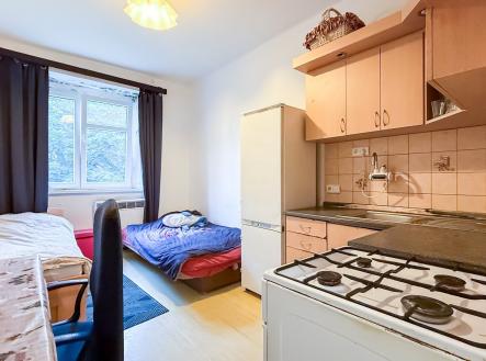 Prodej bytu, 2+kk, 48 m²