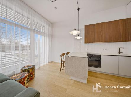 Pronájem bytu, 1+kk, 42 m²