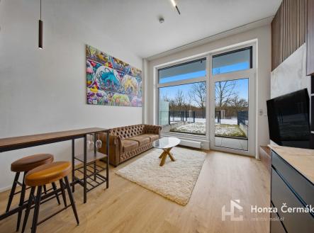 Pronájem bytu, 1+kk, 45 m²