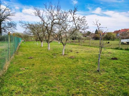 Prodej domu/vily, 236 m²