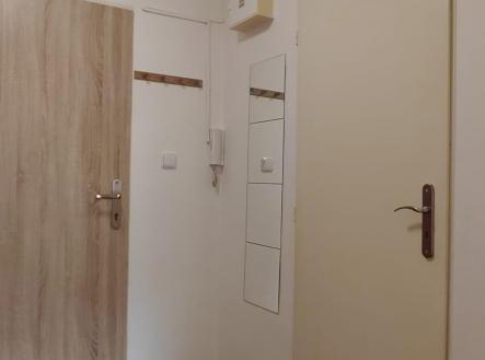 Pronájem bytu, 1+kk, 30 m²