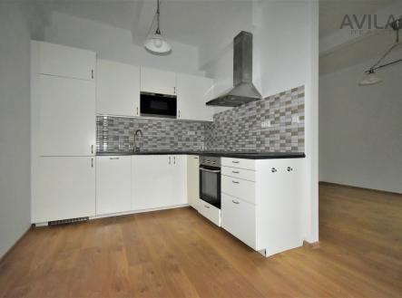 Pronájem bytu, 1+kk, 55 m²