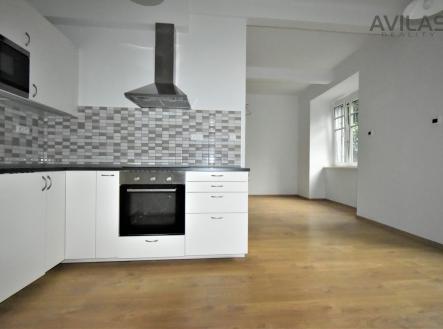 Pronájem bytu, 1+kk, 55 m²