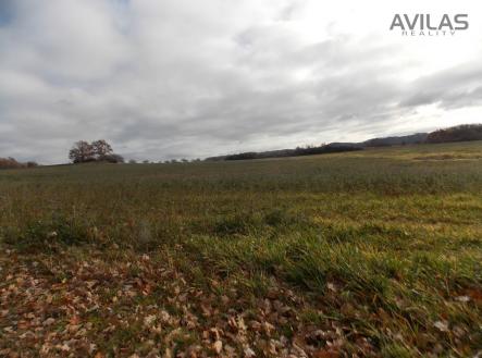 Prodej - pozemek, zemědělská půda, 25 393 m²