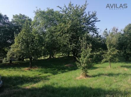 Prodej pozemku pro bydlení, 2 940 m²