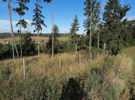 Prodej pozemku, les, 2 824 m²