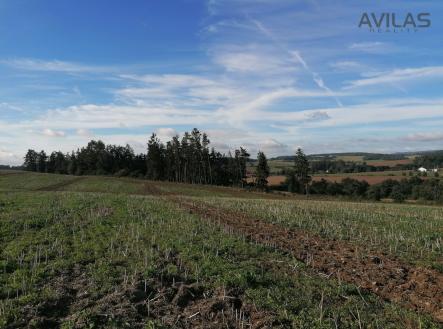 Prodej pozemku, les, 2 824 m²