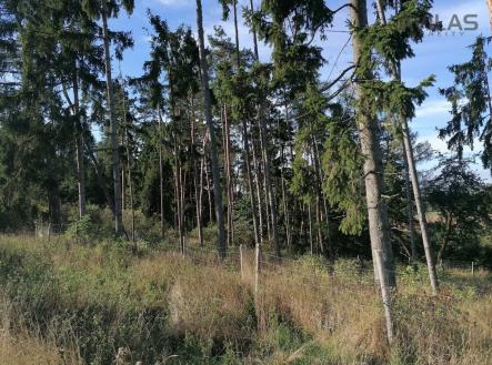 Prodej pozemku, les, 2 824 m²
