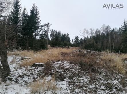 Prodej pozemku, les, 11 862 m²