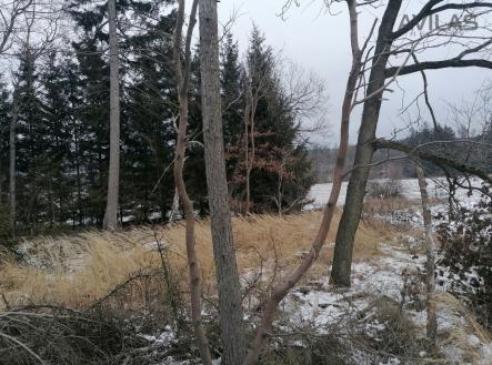 Prodej pozemku, les, 11 862 m²